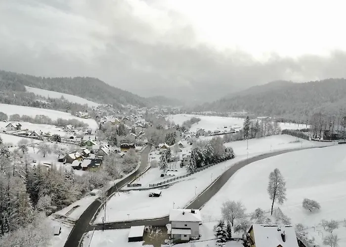 Villa Zlockie Hill *